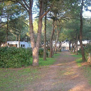 Camping Les Pins