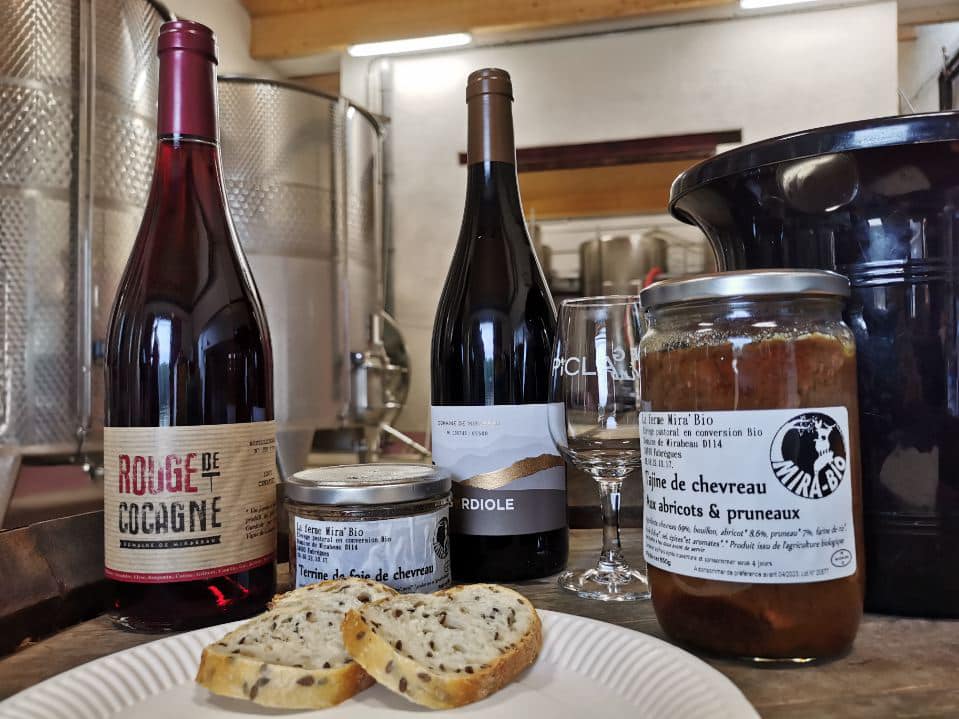 Dégustation - Vigne de Cocagne