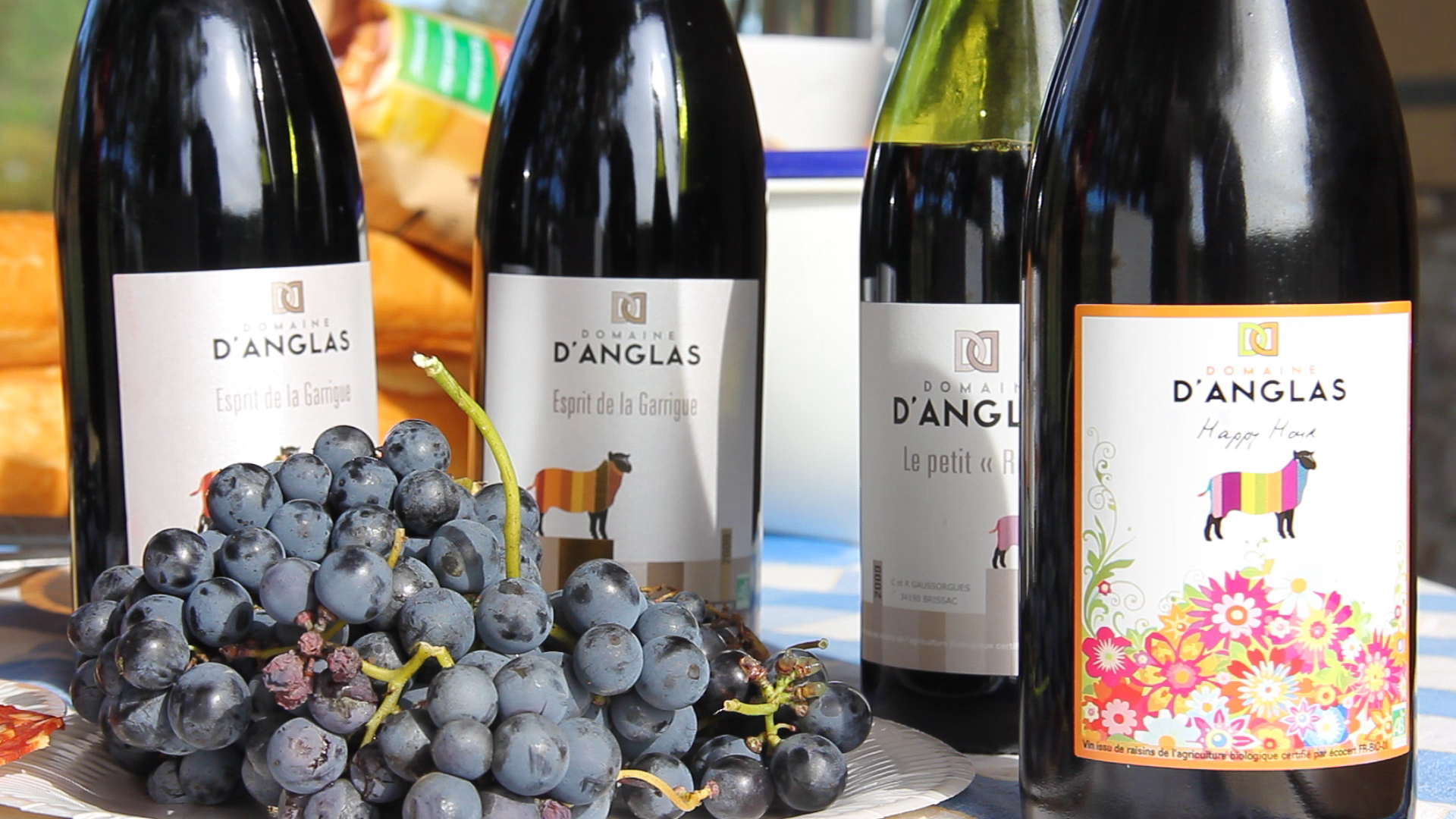 Anglas Nos vins