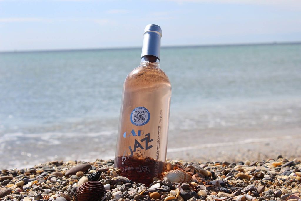 CAP JAZZ domaine de l'Octroi AGDE Tourinsoft