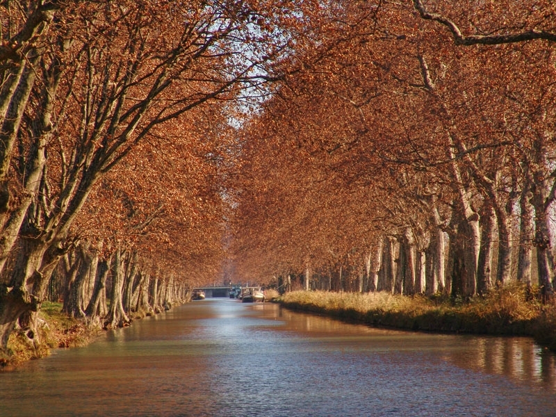 Agde Croisière Pêche au Grau d'Agde - Croisière fluviale Canal du Midi
