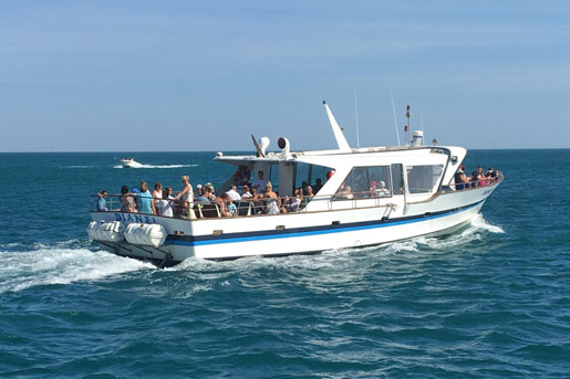 DIANNE-E-515 (002)