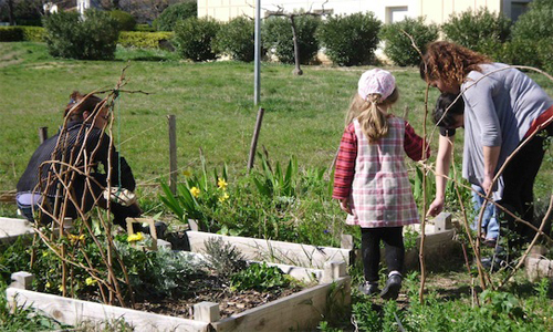 Jardin familial