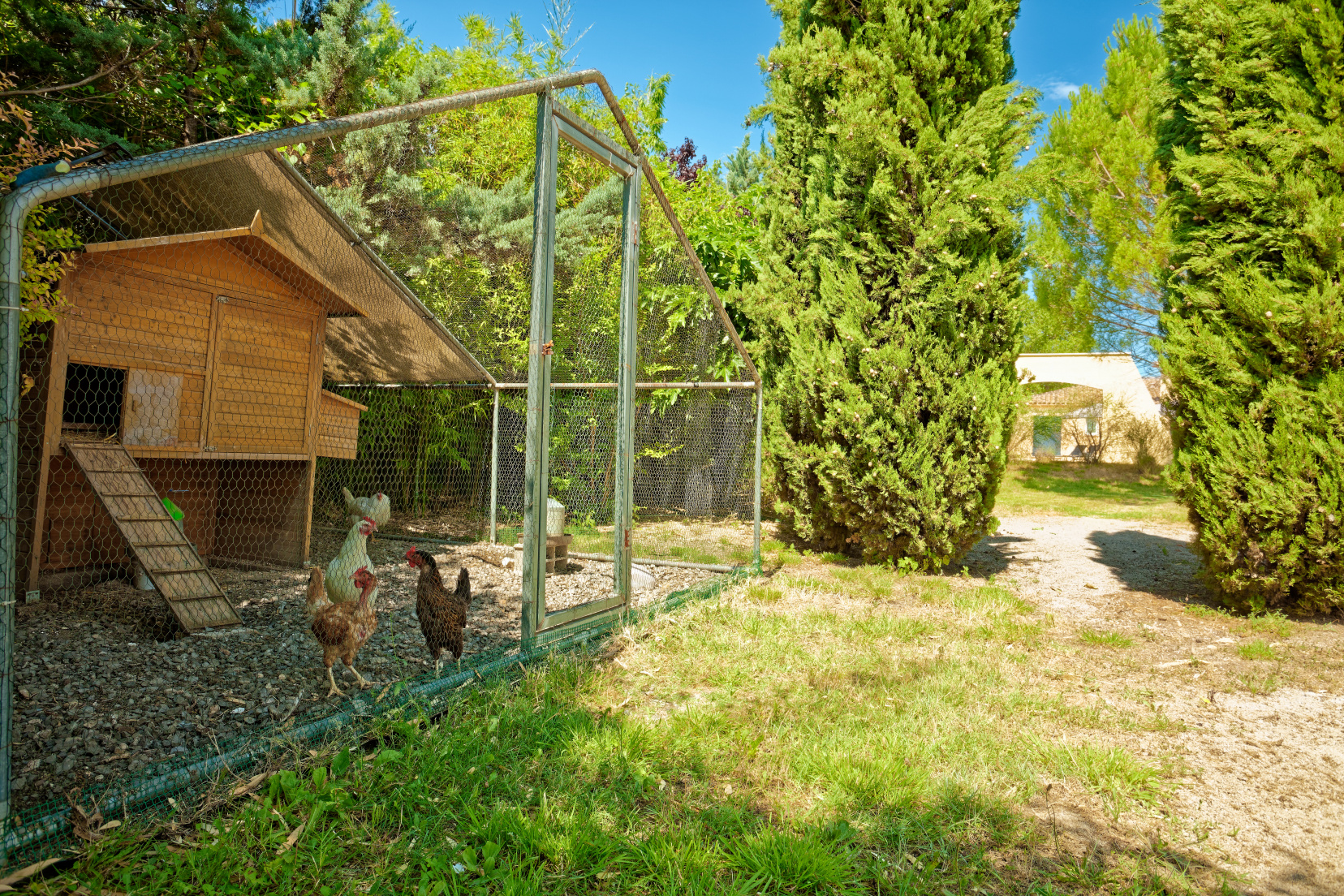 Villa des Cammous - Vacquieres - Aspheries (1)