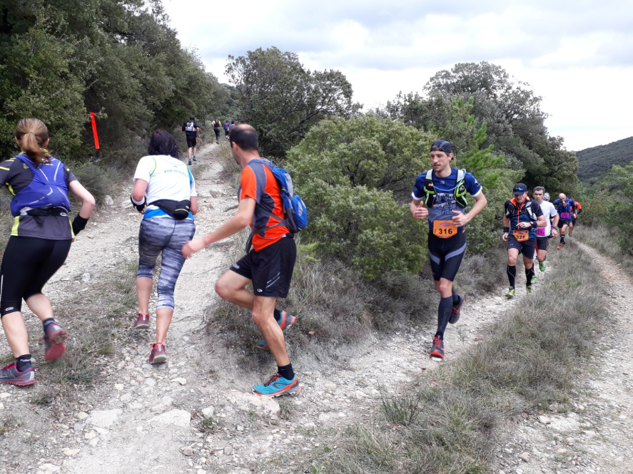 Vinotrail Montpeyroux Arboras Barral Thibaut-CCVH
