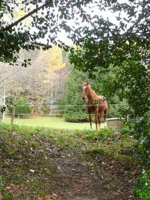 L'environnement du gîte