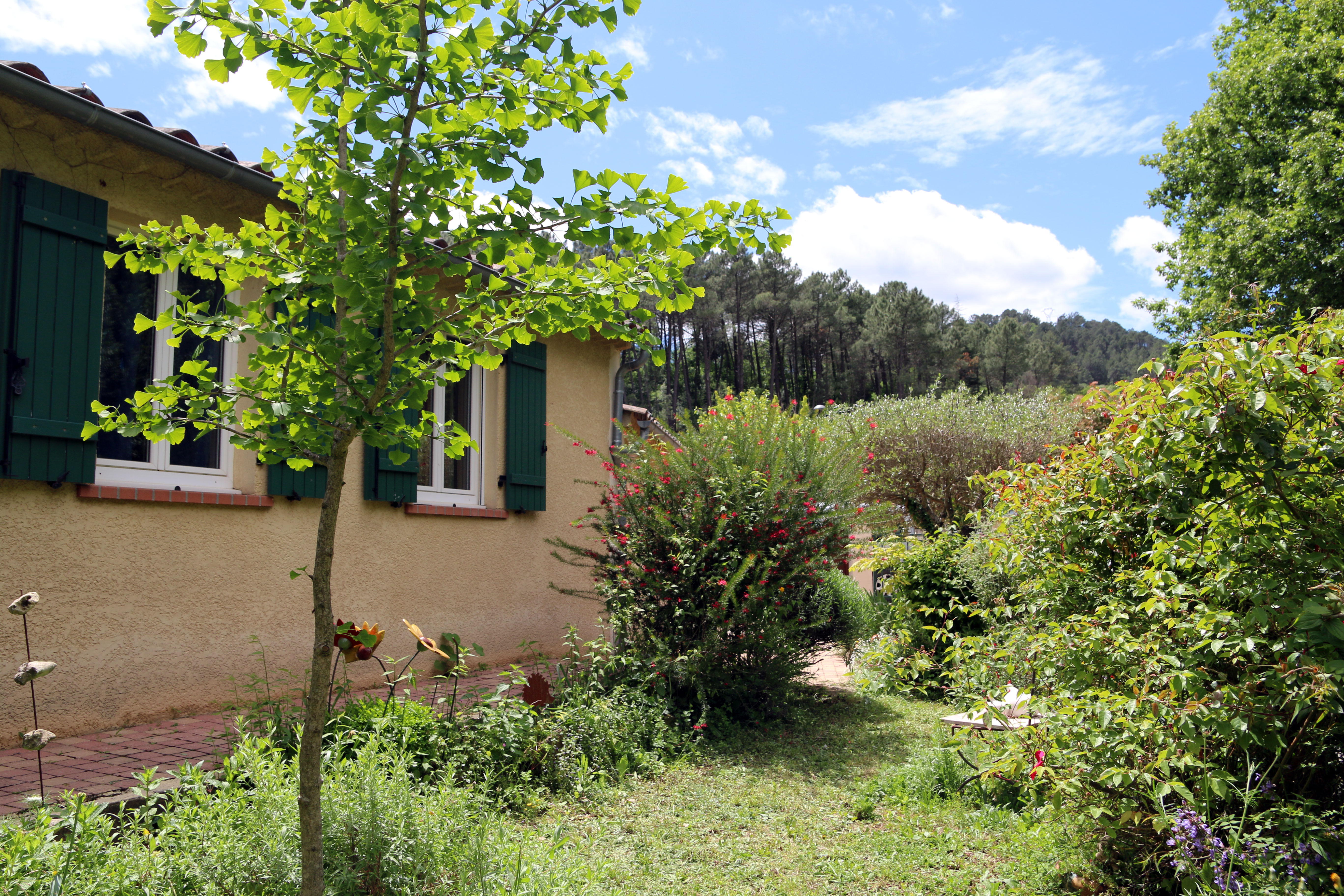 Le jardin