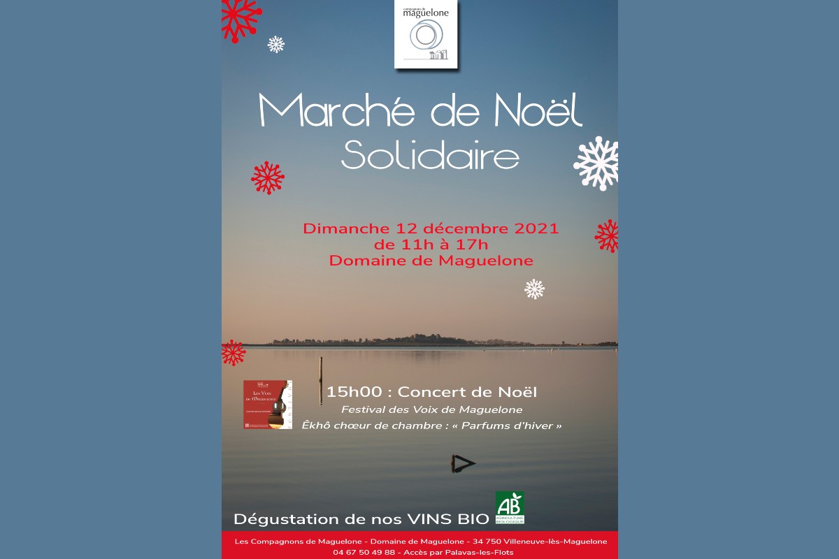 Marché de Noël solidaire