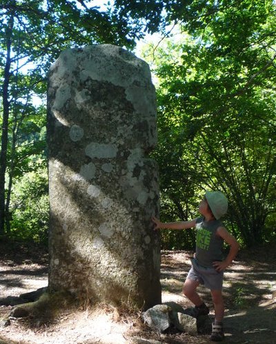 menhir de Picarel