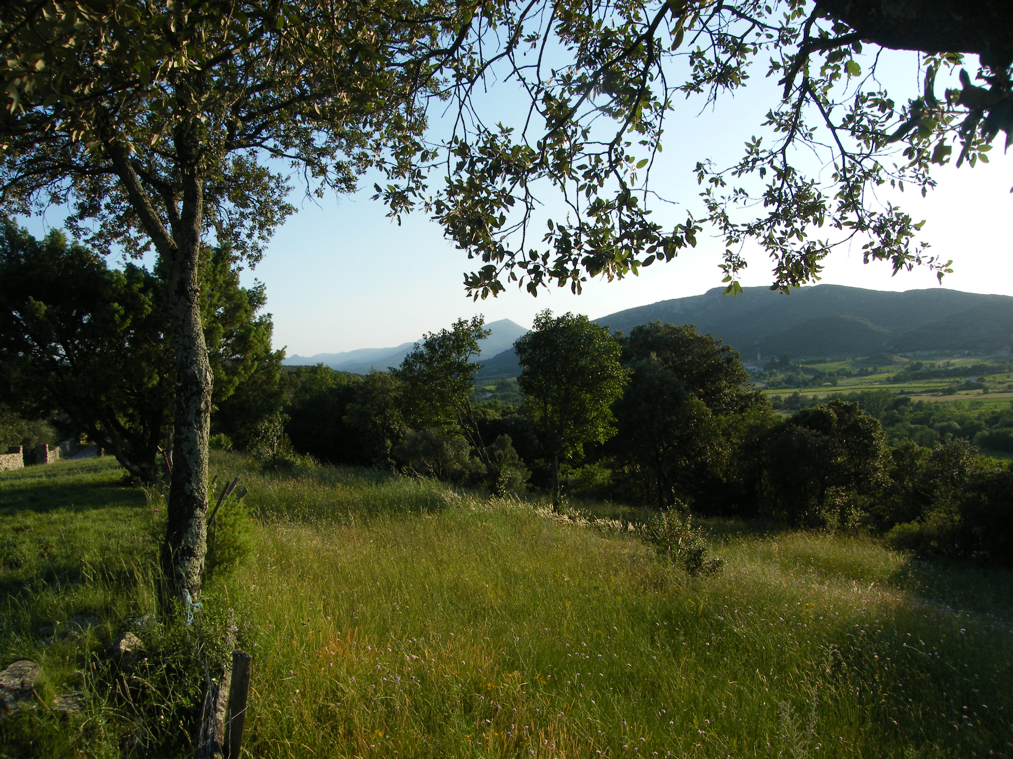 vue de l aire camping car au primptemps